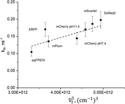 Local Electric Field Controls Fluorescence Quantum Yield of Red and Far-Red Fluorescent Proteins